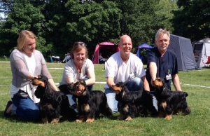 Bästa uppfödargrupp SKK Norrköping 4 juni 2016. Ch Line Sam Xlusive Diamond, Line Sam Awesome Hug, Line Sam Anniversary Hug och Line Sam Amazing Hug. Fyra olika fäder och fyra olika mödrar till hundarna. Tack till mina underbara handlers heart emoticon 